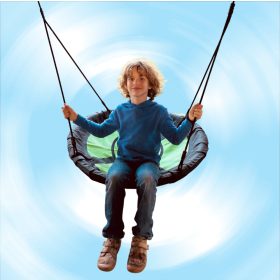 Multi-person nest swing in a box