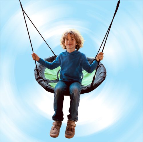 Multi-person nest swing in a box