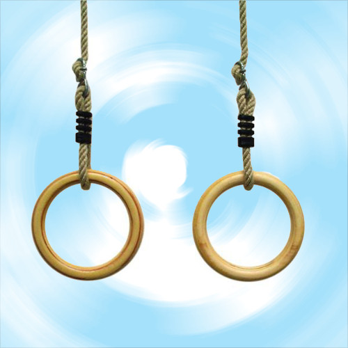 Gymnastics ring 25×145 mm - with PH rope - 2.5 m