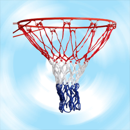 Basketball hoop with net